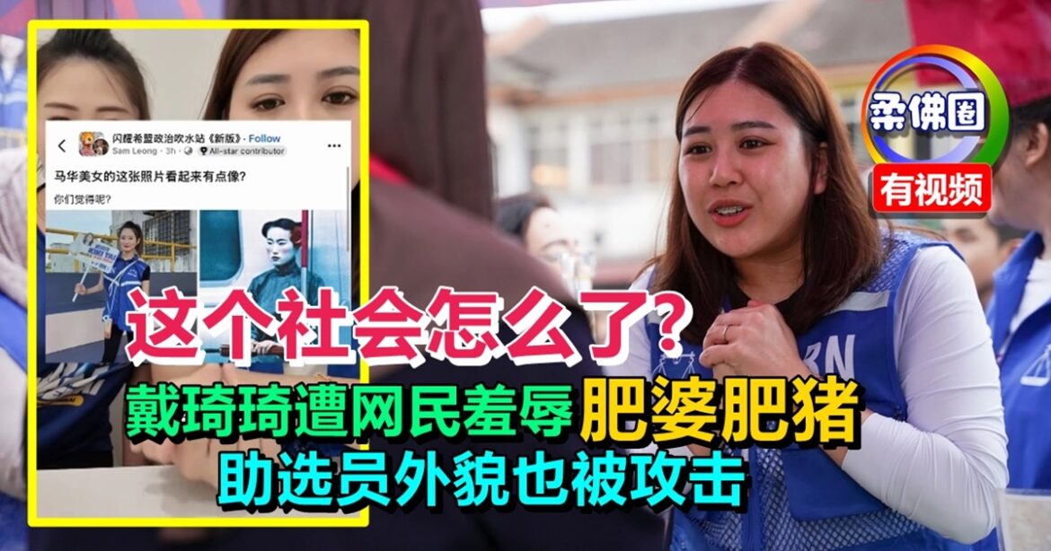 戴琦琦遭网民羞辱“肥婆肥猪”  助选员外貌也被攻击  这个社会怎么了?