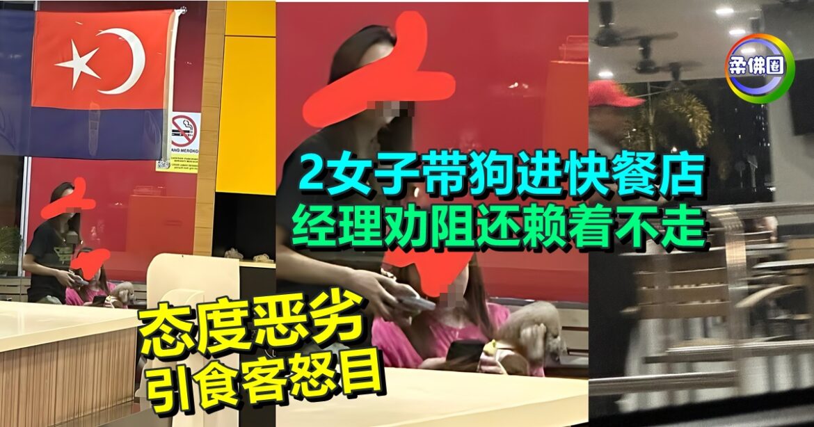 2女子带着狗进快餐店  经理劝阻还赖着不走  态度恶劣引食客怒目