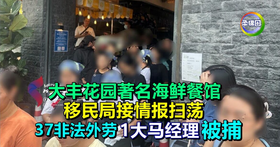 大丰花园著名海鲜餐馆  移民局扫荡  37非法外劳 1大马经理被捕