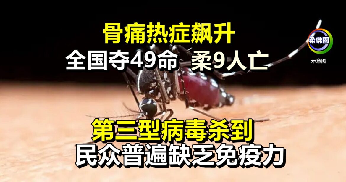 骨痛热症飙升 全国夺49命柔9人亡 第三型病毒杀到 民众普遍缺乏免疫力
