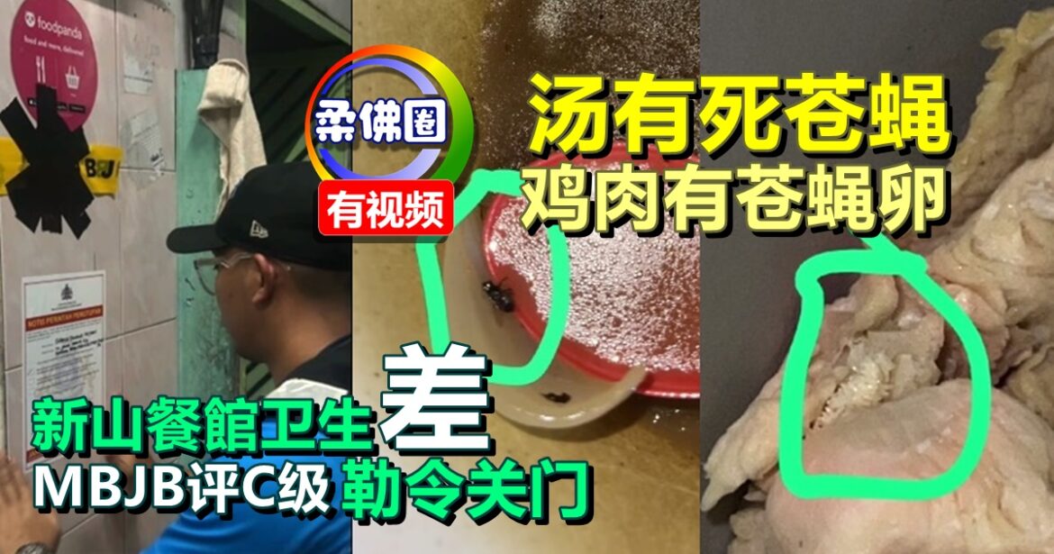 汤有死苍蝇 鸡肉有苍蝇卵  新山餐馆卫生很糟糕  MBJB评C级勒令关门整顿