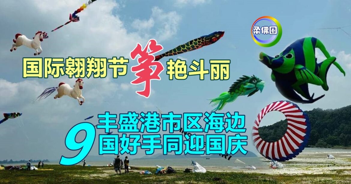 国际翱翔节  筝艳斗丽  丰盛港市区海边  9国好手同迎国庆