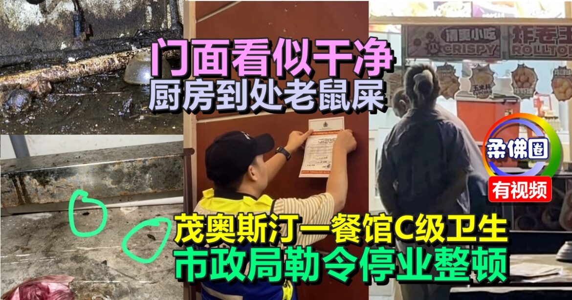 门面看似干净  厨房到处老鼠屎  茂奥斯汀一餐馆C级卫生  市政局勒令停业整顿