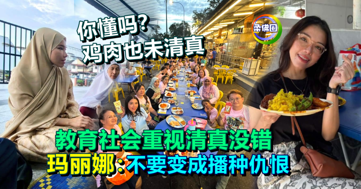 鸡肉也未必清真！玛丽娜：教育社会重视清真没错  但不要变成播种仇恨