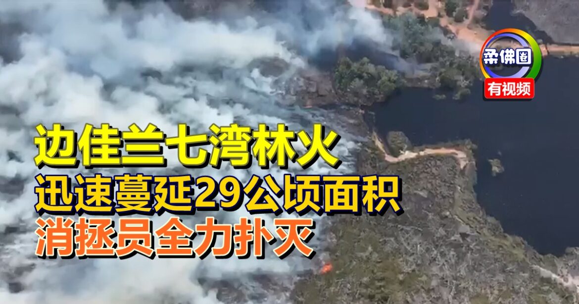 边佳兰七湾林火  迅速蔓延29公顷面积  消拯员全力扑灭