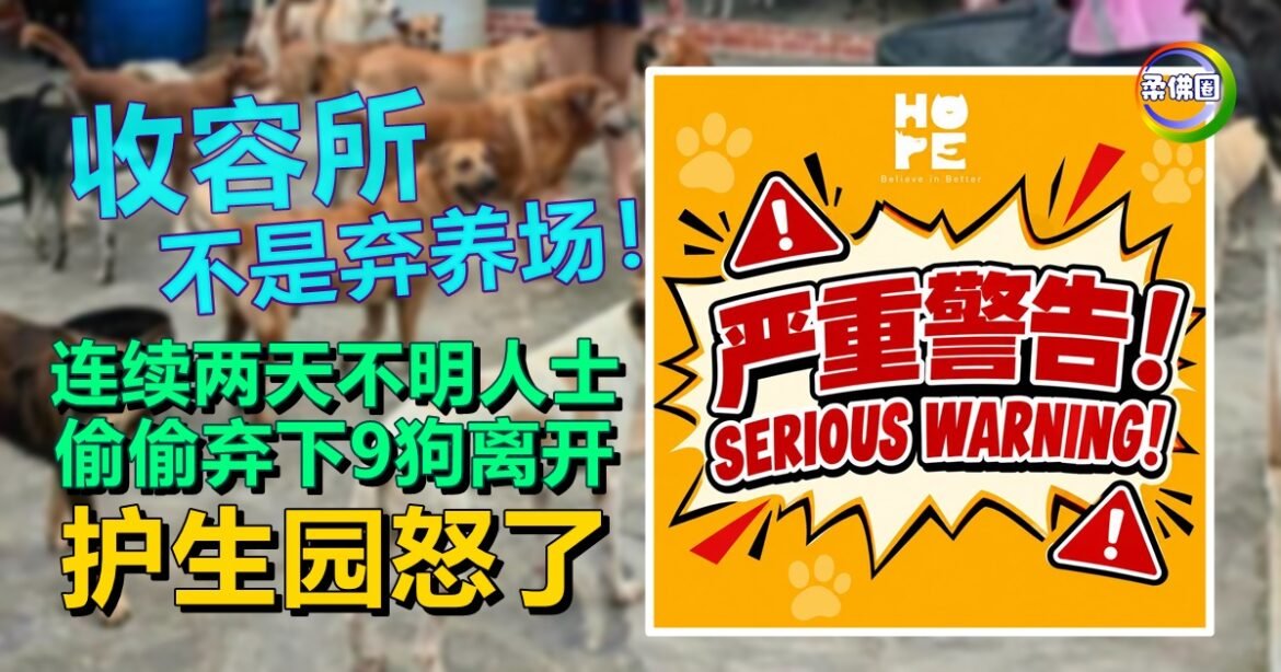收容所不是弃养场！连续两天不明人士  偷偷弃下9狗离开  护生园怒了