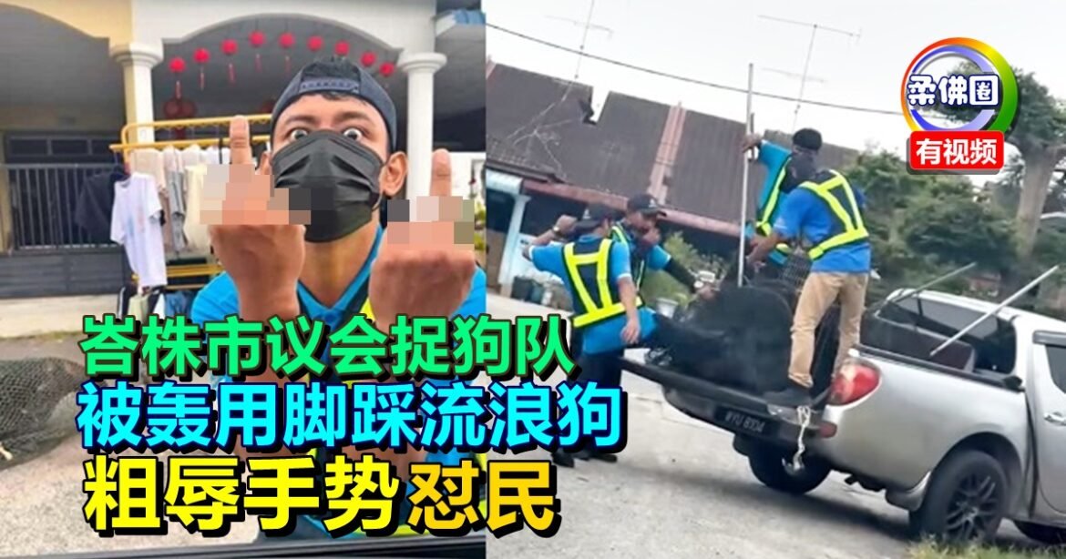 峇株市议会捉狗队  被轰用脚踩流浪狗   “粗辱手势”怼民