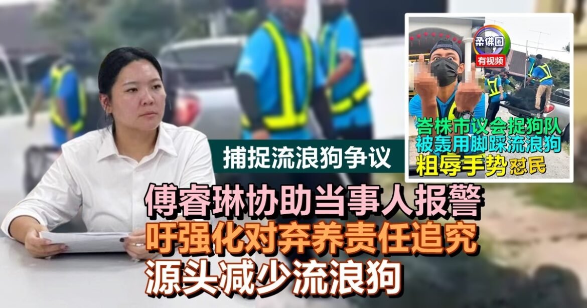 捕捉流浪狗争议｜傅睿琳协助当事人报警   吁强化对弃养责任追究  源头减少流浪狗