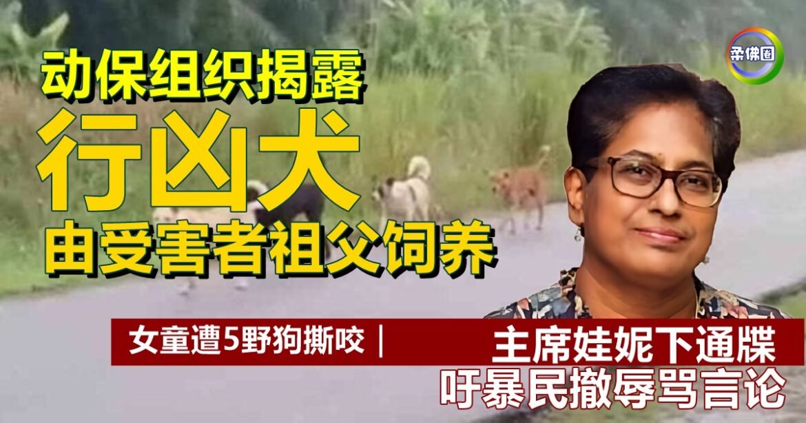 女童遭5野狗撕咬｜动保组织揭露  行凶犬由受害者祖父饲养  吁停止网暴要挟