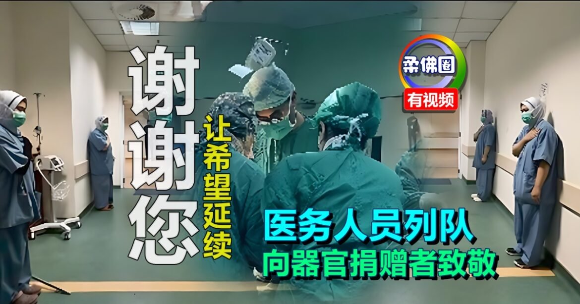 谢谢您，让希望延续！医务人员列队  向器官捐赠者致敬