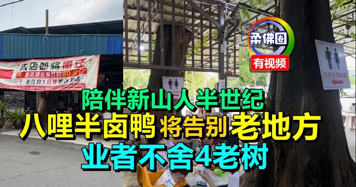 陪伴新山人半世纪  八哩半卤鸭将告别老地方  业者不舍4老树