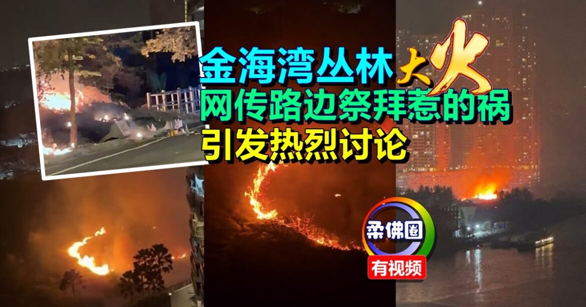 金海湾丛林大火  网传路边祭拜惹的祸  引发热烈讨论