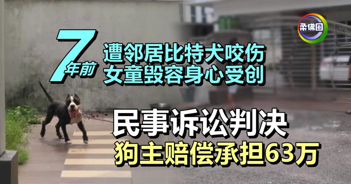 7年前遭邻居比特犬咬伤  女童毁容身心受创  民事诉讼判决  狗主赔偿承担63万
