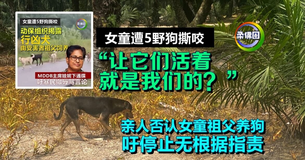 女童遭5野狗撕咬｜“让它们活着就是我们的？” 亲人否认女童祖父养狗