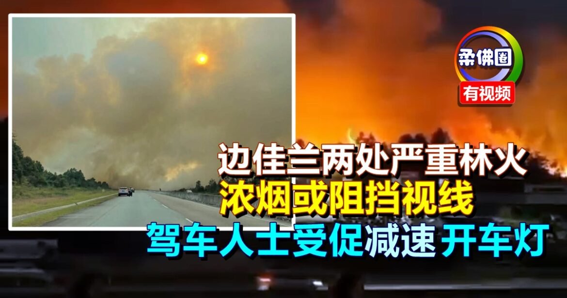 边佳兰两处严重林火  浓烟或阻挡视线  驾车人士受促减速开车灯  勿停下拍照