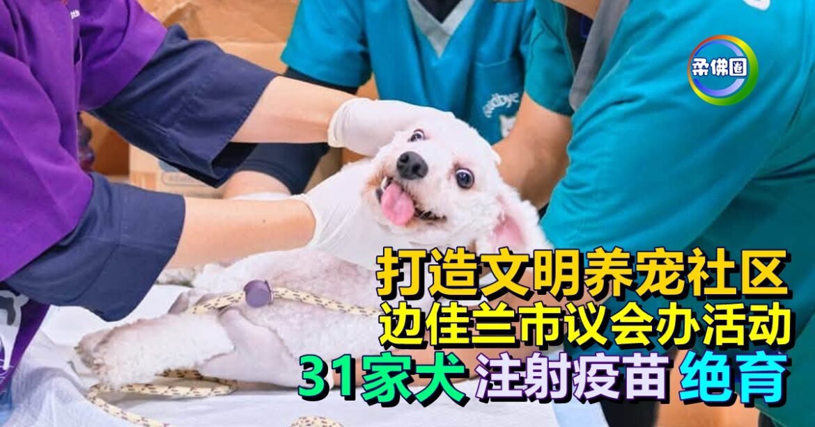 打造文明养宠社区  边佳兰市议会办活动  31家犬注射疫苗与绝育