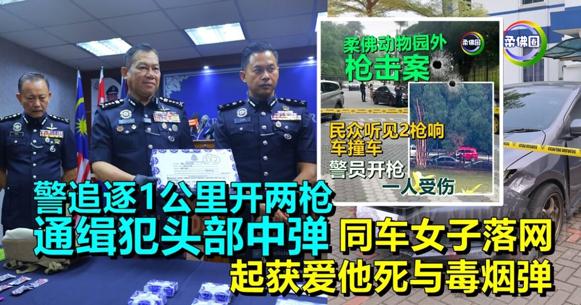 警追逐1公里开两枪  通缉犯头部中弹  同车女子落网  起获爱他死与毒烟弹