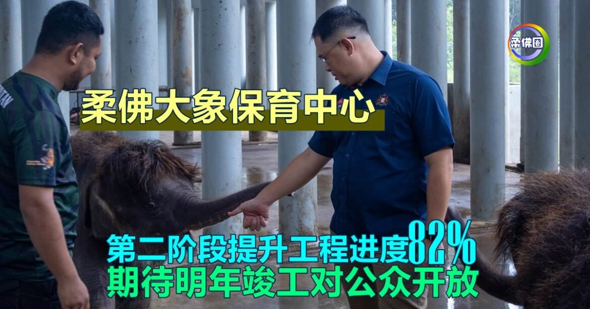 柔佛大象保育中心  第二阶段提升工程进度82%  期待明年竣工对公众开放
