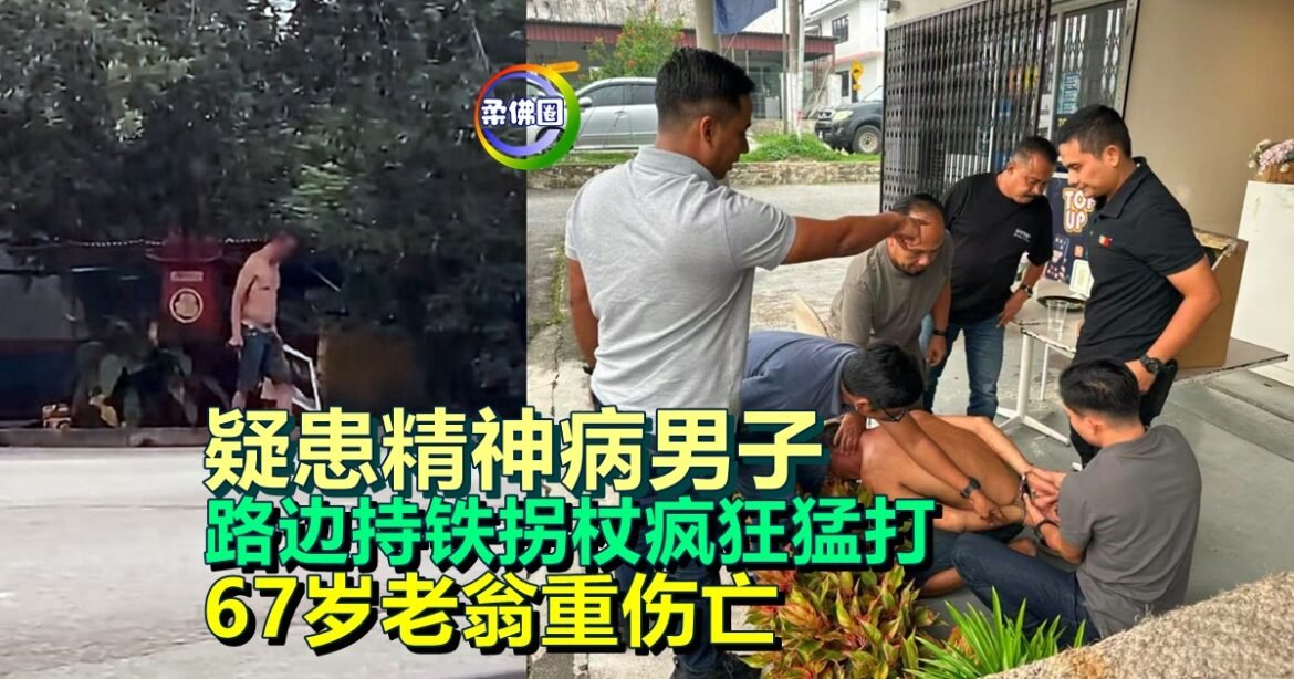 疑患精神病男子  路边持铁拐杖疯狂猛打   67岁老翁重伤亡