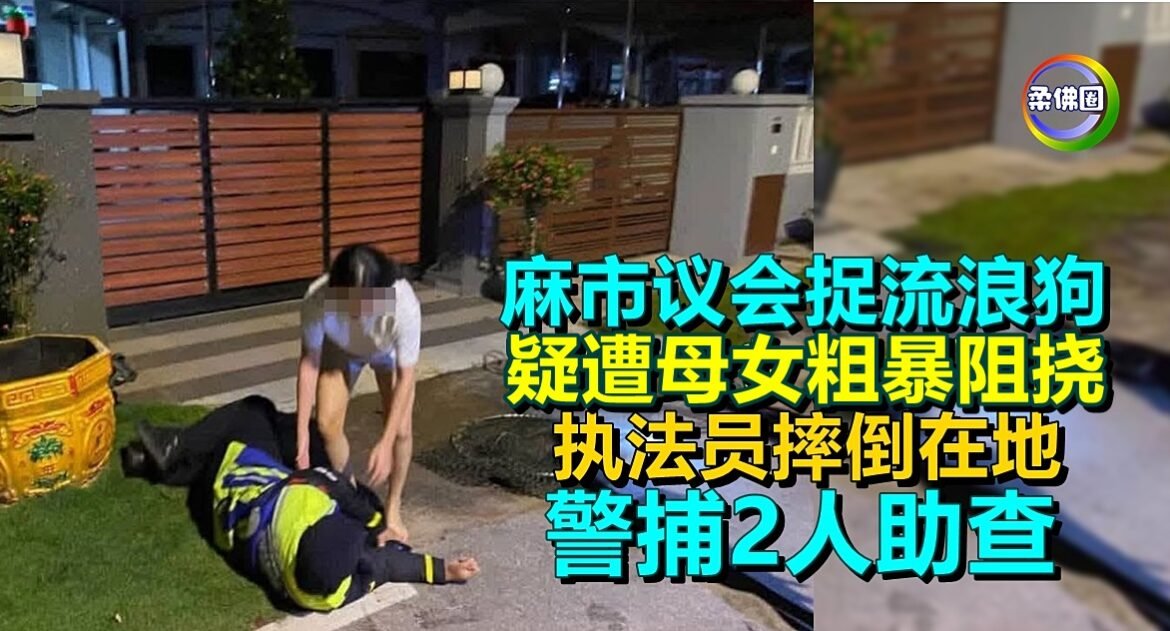 麻市议会捉流浪狗  疑遭母女粗暴阻挠  执法员摔倒在地  警捕2人助查