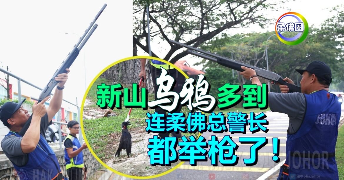 新山乌鸦多到  连柔佛总警长都举枪了！