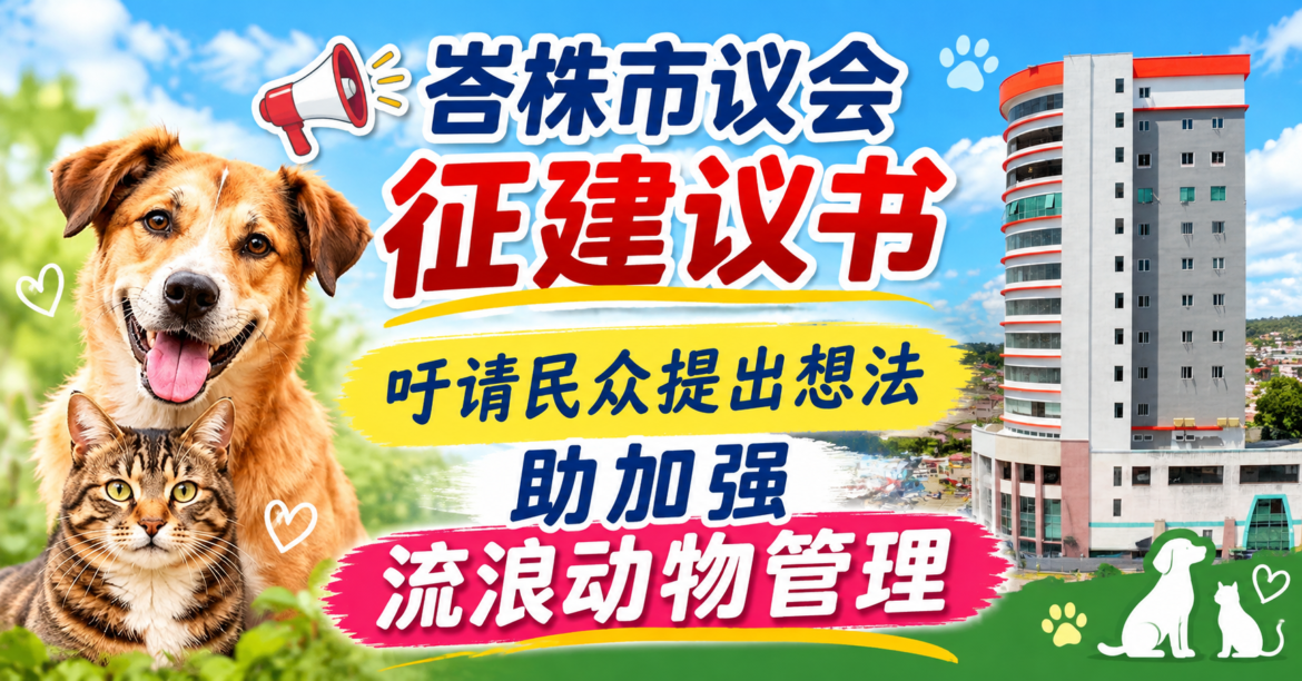 峇株市议会征建议书   吁请民众提出想法  助加强流浪动物管理