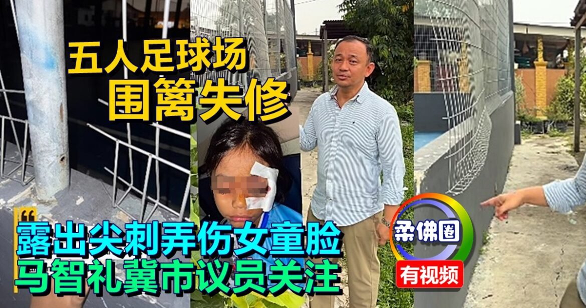 五人足球场围篱失修  露出尖刺弄伤女童脸  马智礼冀市议员关注