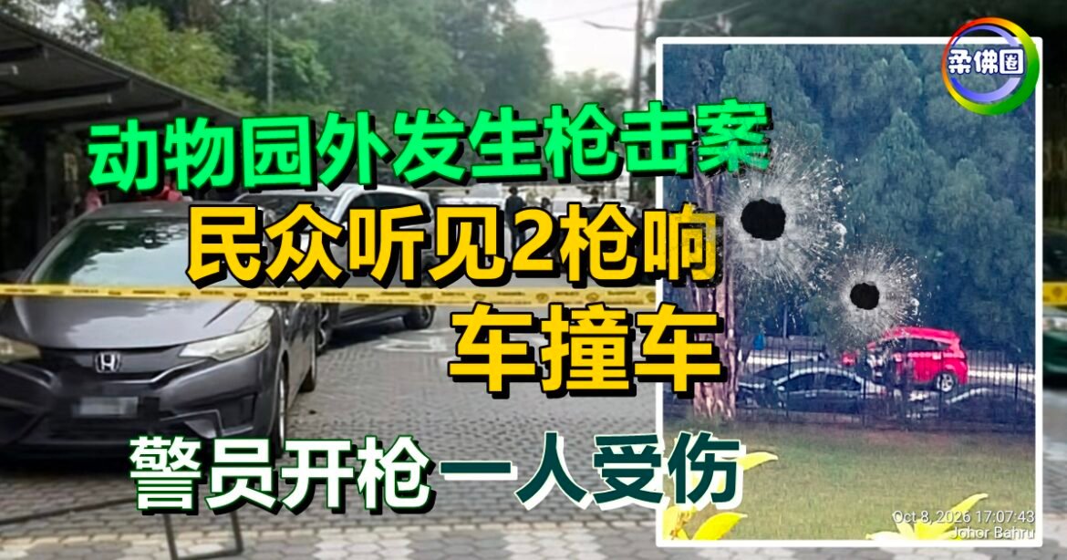 动物园外发生枪击案  民众听见2枪响  车撞车  警员开枪一人受伤