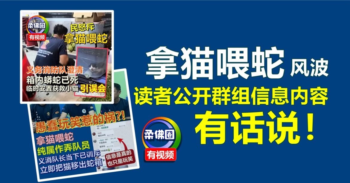 “拿猫喂蛇”风波   读者公开群组信息内容  有话说！