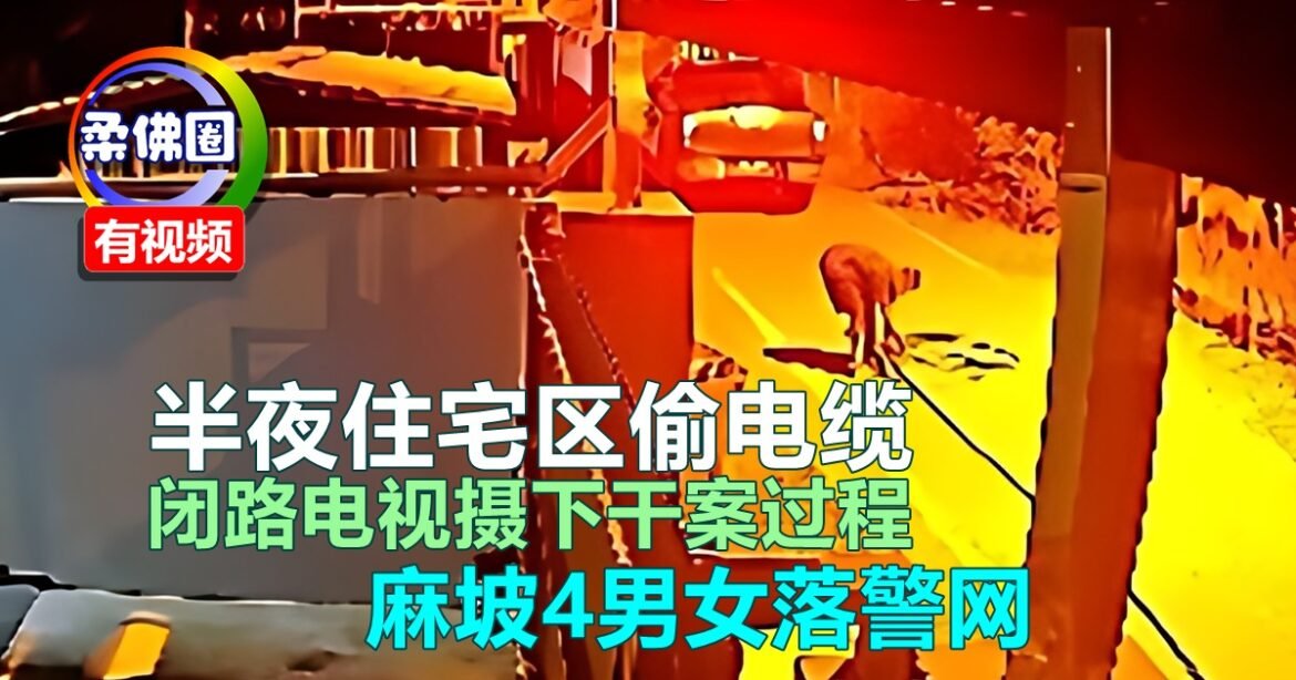 半夜住宅区偷马电讯电缆   被闭路电视摄下干案过程  麻坡4男女落警网