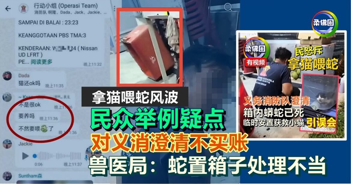 “拿猫喂蛇”风波｜民众举例疑点  对义消澄清不买账  兽医局：蛇置箱子处理不当