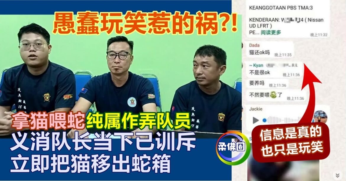 愚蠢玩笑惹的祸?! 义消“拿猫喂蛇”纯属作弄队员  当下已被训斥  立即把猫移出蛇箱