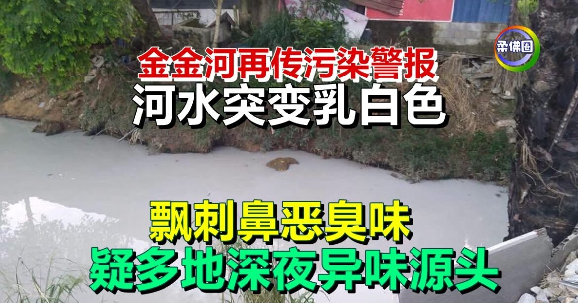 金金河再传污染警报  河水突变乳白色   飘刺鼻恶臭味  疑多地深夜异味源头