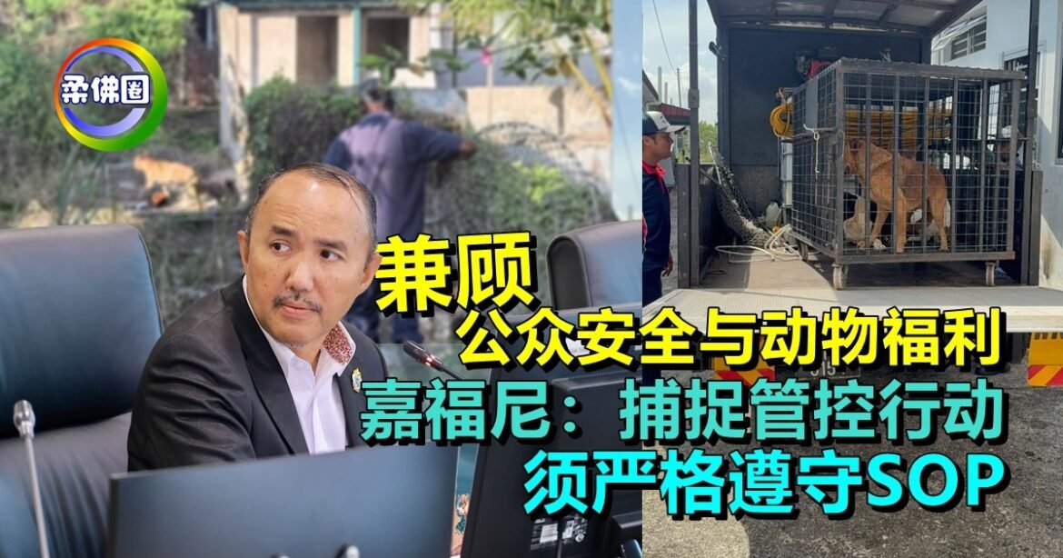 兼顾公众安全与动物福利   嘉福尼：地方政府捕捉管控行动  须严格遵守SOP