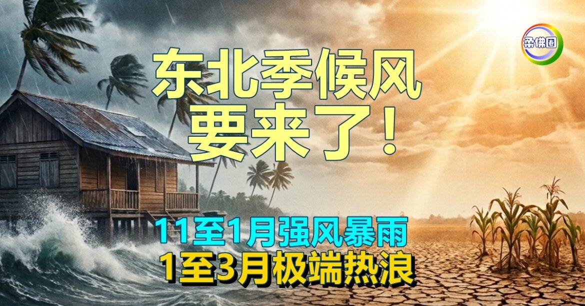 东北季候风要来了！11至1月强风暴雨   1月至3月极端热浪